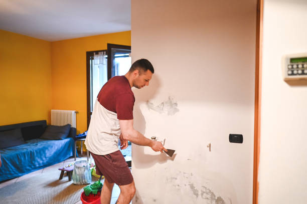 Best Bathroom Mold Remediation in Schuylerville, NY